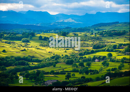 Blick vom Scout Narbe in der Nähe von Kendal im englischen Lake District mit Blick auf die hohen Fjälls Stockfoto