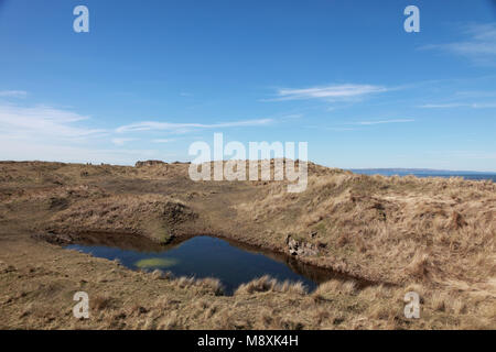 Die Dünen, als die Links, auf Lindisfarne, heilige Insel bekannt Stockfoto