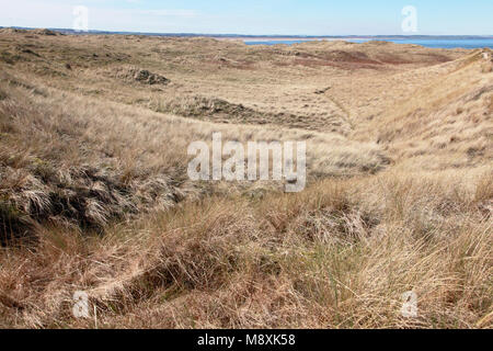 Die Dünen, als die Links, auf Lindisfarne, heilige Insel bekannt Stockfoto