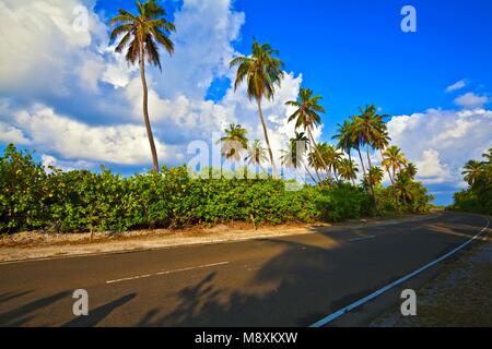 Tropische Straße mit Palmen auf der Insel Gan im Indischen Ozean, Malediven Stockfoto