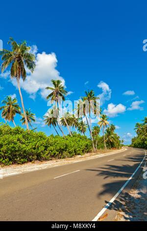 Tropische Straße mit Palmen auf der Insel Gan im Indischen Ozean, Malediven Stockfoto