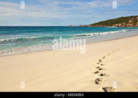 Einsame Spuren sind auf Sandstrand, Seychellen, La Digue Island Stockfoto