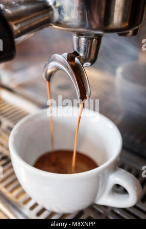 Frischen espresso tropft vom portafilter der Kaffeemaschine in weißen Schale Stockfoto