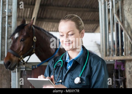 Weibliche Tierarzt mit digitalen Tablet Prüfung Pferd im Stall Stockfoto