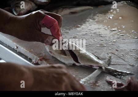 Den Fisch in Stücke schneiden zum Verkauf auf dem Markt Stockfoto