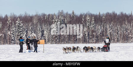Musher Anna Berington nach dem in Willow des 46 Iditarod Trail Sled Dog Race in Southcentral Alaska neu. Stockfoto