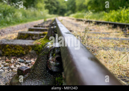 Alte bewachsene stillgelegten Bahnstrecken. Stockfoto