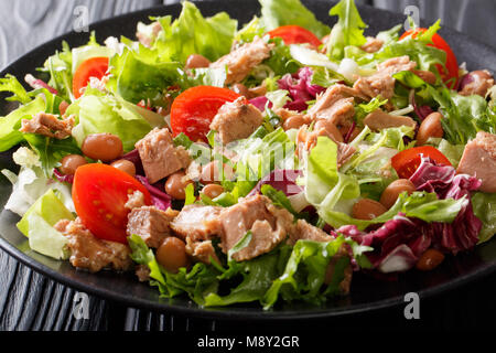 Organische Salat mit Thunfisch, borlotti Bohnen, Tomaten, Mix aus kopfsalat Close-up auf einem Teller auf dem Tisch. Horizontale Stockfoto