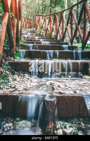 Kleine Wasserfälle Fallen eine Treppe innerhalb des Matese Wald, führenden Die überschwemmten Weg an die Spitze der National Park. Stockfoto