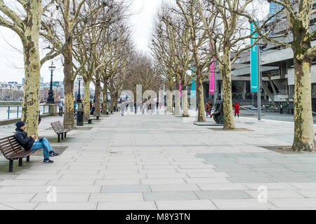 Eine Allee von London Platanen Platanus x acerifolia auf der South Bank in London. Stockfoto