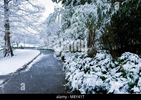 Schnee in Trenance Gärten in Newquay Cornwall. Stockfoto