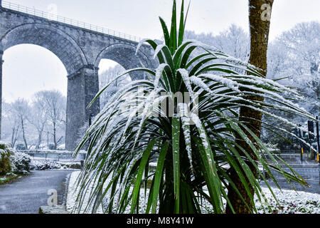 Außergewöhnliche Wetterbedingungen in Cornwall mit Schnee über Trenance Gärten in Newquay Cornwall. Stockfoto