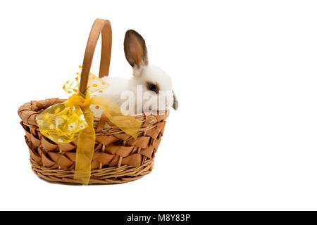 Osterhase im Korb mit gelben Bogen. Stockfoto