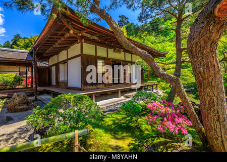 Kannon-Hall bei beliebten Wahrzeichen Ginkaku-ji Tempel oder Silber Pavillon im Frühjahr Saison mit blauem Himmel. Ginkakuji offiziell Jisho-ji genannt, ist ein Zen Tempel in Kyoto, Kyoto, Japan. Stockfoto