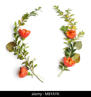 Blumen Komposition. Kranz aus orange Blumen und grüne Blätter auf weißem Hintergrund. Flach. Stockfoto