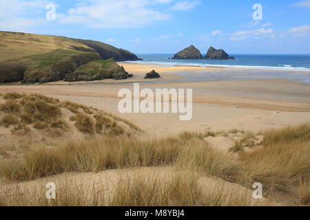 Frühling in Holywell Bay, North Cornwall, England, Großbritannien Stockfoto