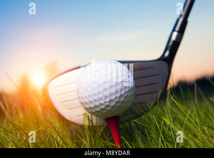 Golf Club und Ball im Gras mit Sonnenlicht. Ganz nah am Golf Club und Golf ball Stockfoto