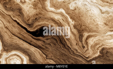 Die Beschaffenheit der Wurzeln der Baum mit Wellenlinien und alter Ringe. Zusammenfassung Hintergrund. 2D-Darstellung Stockfoto