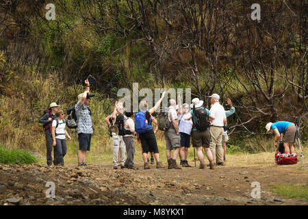 Eine Gruppe von Touristen auf einer levada laufen hören auf den Rat von ihrem Guide Stockfoto