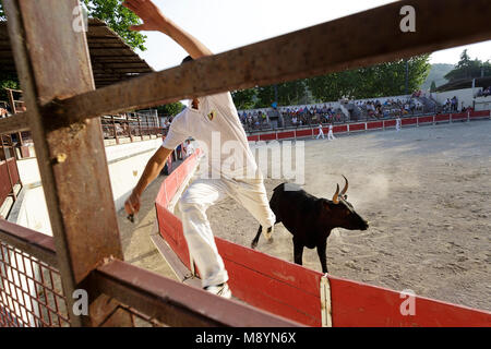 Matador springen auf rot Zaun von Stier in der Stierkampfarena von Bellegarde, Provence, Frankreich Stockfoto