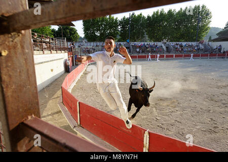 Matador springen auf rot Zaun von Stier in der Stierkampfarena von Bellegarde, Provence, Frankreich Stockfoto