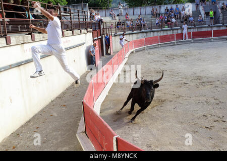 Matador springen auf rot Zaun von Stier in der Stierkampfarena von Bellegarde, Provence, Frankreich Stockfoto