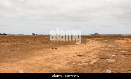 Fata Morgana (Fata Morgana) Was aussieht wie See und Palmen in Distanz, aber das ist nur Illusion. Sal, Kap Verde Stockfoto