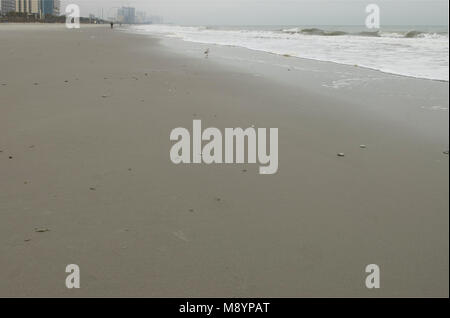 Seashore in Myrtle Beach, South Carolina, USA. Stockfoto