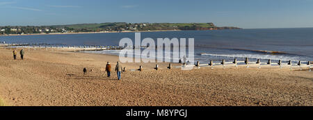 Buhnen am Strand Dawlish Warren, Richtung Exmouth suchen. Stockfoto