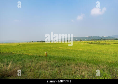 Eine schöne Landschaft von Paddy Landwirtschaft mit Cloud suchen Super. Stockfoto