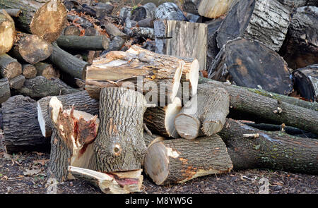 Stapel gebrochen und die Protokolle für Brennholz eingestellt Stockfoto