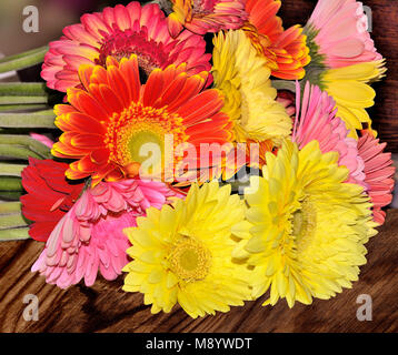 Schönen Blumenstrauß aus verschiedenen bunten Gerbera hautnah auf einer hölzernen Hintergrund Konzept der festlichen oder Trauer design Stockfoto