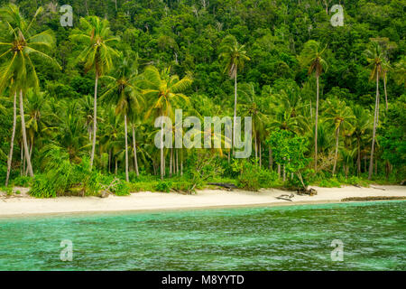 Indonesien. Wilden Strand auf einer tropischen Insel mit Dschungel bedeckt. Weißer Sand und Palmen. Stockfoto
