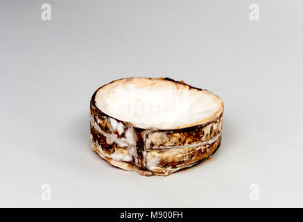 Du Vacherin Mont d'Or ist eine klebrige reichen und mächtigen Kuhmilch Käse aus der Französischen Alpen. Stockfoto