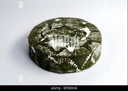 Cornish Yarg Käse in die Nesseln gewickelt Stockfoto