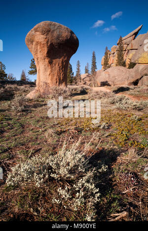 Granitfelsen am Vadauwoo Recreation Area, in der Medizin Bug National Forest, Albany County, Wyoming, USA. Stockfoto