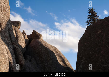 Granitfelsen und einsamen Baum an Vadauwoo Recreation Area, in der Medizin Bug National Forest, Albany County, Wyoming, USA. Stockfoto