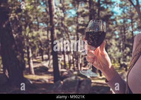 Frau mit einem Glas Wein bei einem Picknick im Wald Stockfoto