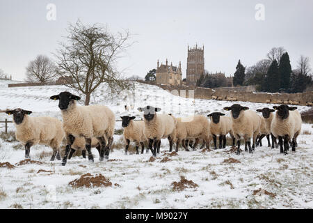 Osten Bankett- Haus der Alten Campden Haus und St. James' Church mit Schaf in der coneygree Feld im Winter Schnee, Chipping Campden, Cotswolds Stockfoto