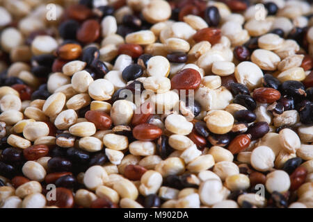 Gemischte raw Quinoa (schisandra Quinoa). Rote, schwarze und weiße Samen mit Stockfoto