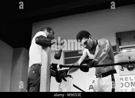Muhammad Ali und Ernie Terrell met die Verwirrung darüber, wer war der rechtmäßige Weltmeister im Schwergewicht zu beenden. Vor dem Anfall, Terrell wiederholt Ali durch seine Geburt Namen genannt. Er erklärte später, dass er Ton für Jahre in den Bewunderern bekannt war und nicht benutzt, ihn anzurufen und einen anderen Namen erhalten. Ali nahmen Anstoß zu dieser, wie er in einem vorherigen Kampf mit Ring Legende Floyd Patterson, wo Patterson wählte Ali'Ton zu Anruf hatte." Ali sagte er Terrell bestrafen würde, wie er Patterson bestraft hatte. Ali gewann einen schiefen 15 runde Entscheidung, Rückforderung der unbestrittene Meisterschaft. (Bild) Ali mit Trainer in der g Stockfoto