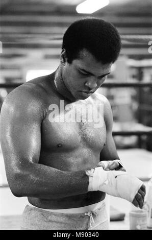 Muhammad Ali (Cassius Clay) Ausbildung bei seinem pennsylvanian Mountain Retreat für seinen Kampf gegen George Foreman in Zaire. 27. August 1974. Stockfoto