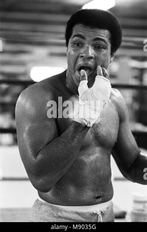 Muhammad Ali (Cassius Clay) Ausbildung bei seinem pennsylvanian Mountain Retreat für seinen Kampf gegen George Foreman in Zaire. 27. August 1974. Stockfoto