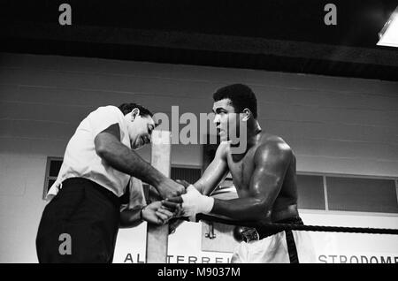 Muhammad Ali und Ernie Terrell met die Verwirrung darüber, wer war der rechtmäßige Weltmeister im Schwergewicht zu beenden. Vor dem Anfall, Terrell wiederholt Ali durch seine Geburt Namen genannt. Er erklärte später, dass er Ton für Jahre in den Bewunderern bekannt war und nicht benutzt, ihn anzurufen und einen anderen Namen erhalten. Ali nahmen Anstoß zu dieser, wie er in einem vorherigen Kampf mit Ring Legende Floyd Patterson, wo Patterson wählte Ali'Ton zu Anruf hatte." Ali sagte er Terrell bestrafen würde, wie er Patterson bestraft hatte. Ali gewann einen schiefen 15 runde Entscheidung, Rückforderung der unbestrittene Meisterschaft. (Bild) Ali für tra bereit Stockfoto
