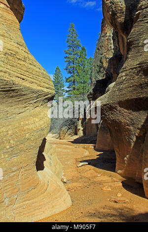 Eröffnung der Willis Creek Canyon, Utah Stockfoto