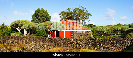 Museu do Vinho (Weinmuseum), Madalena, Pico. Azoren, Portugal Stockfoto