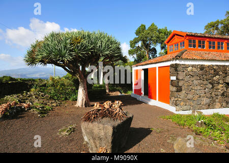 Museu do Vinho (Weinmuseum), Madalena, Pico. Azoren, Portugal Stockfoto