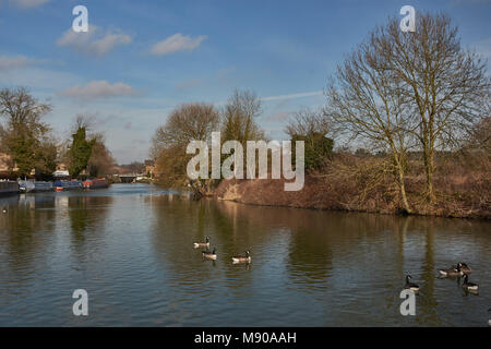 Fluss Lea, Hertfordshire, England Stockfoto
