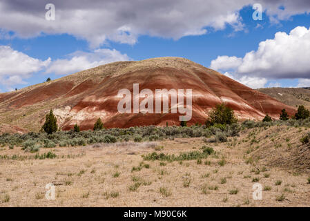 Die Painted Hills von Oregon Farben anzeigen Erstellt von verschiedenen Schichten des Bodens über Äonen hinterlegt. John Day Fossil Beds, Mitchell, Oregon Stockfoto