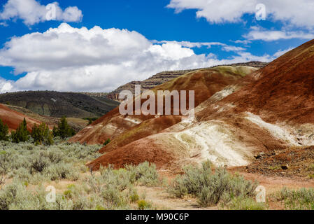 Die Painted Hills von Oregon Farben anzeigen Erstellt von verschiedenen Schichten des Bodens über Äonen hinterlegt. John Day Fossil Beds, Mitchell, Oregon Stockfoto